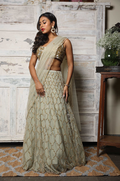 OGI Lehenga set