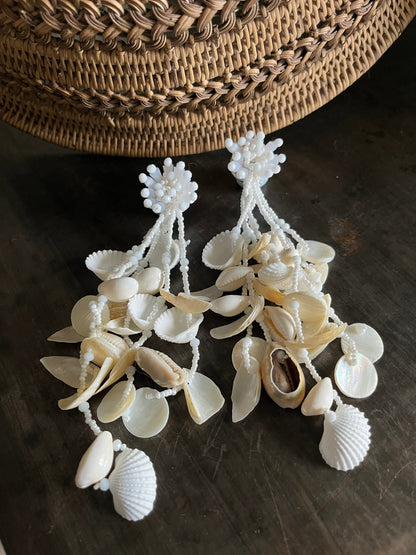 Tulum Shells