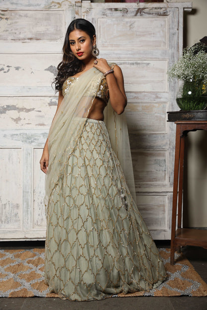 OGI Lehenga set